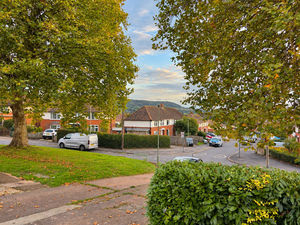 Photo 12- click for photo gallery